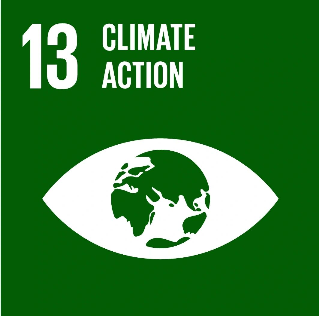 Sustainable Development Goal: Climate action