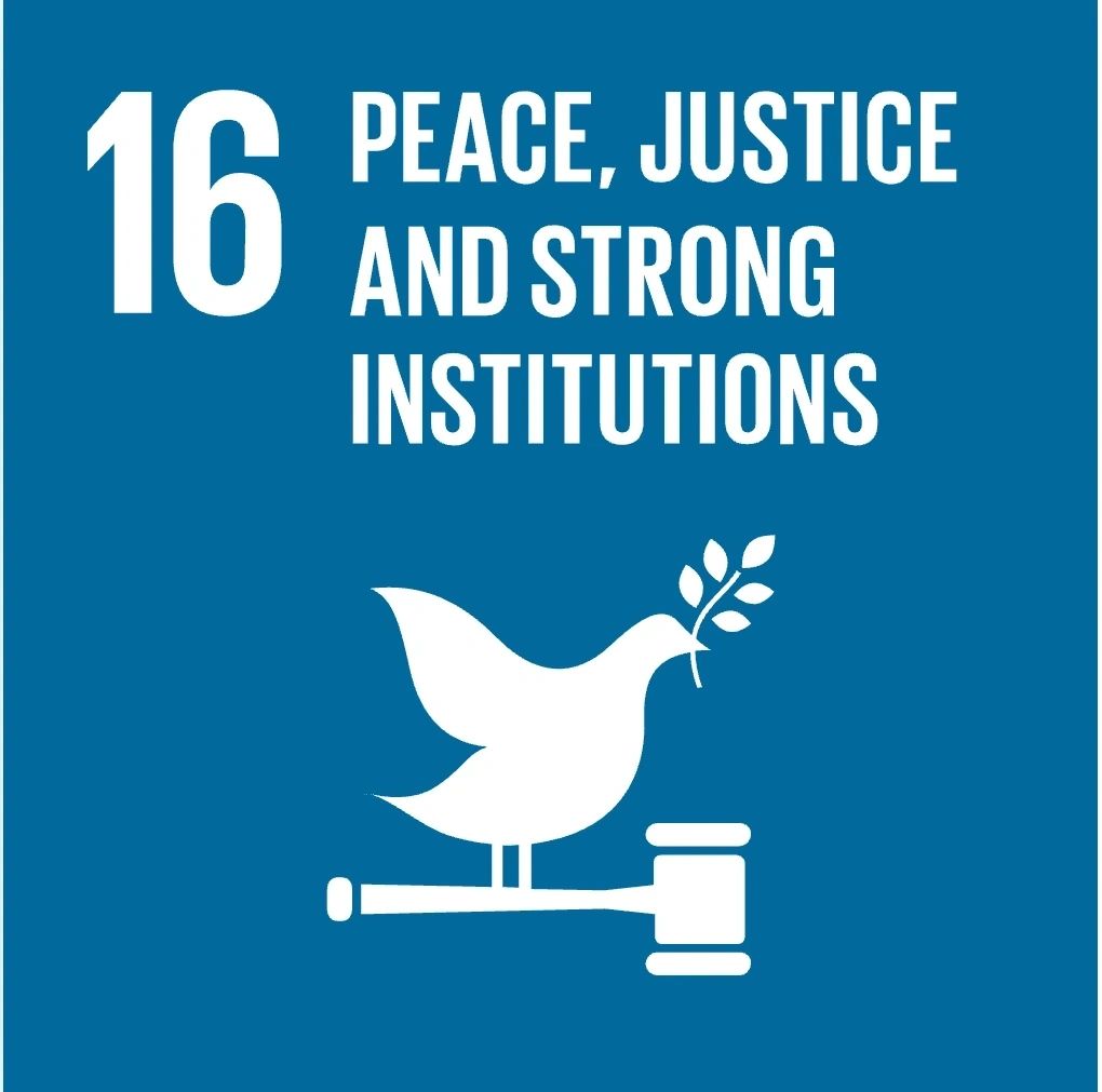 Sustainable Development Goal: Peace, justice and strong institutions