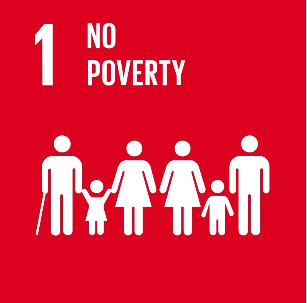 Sustainable Development Goal: No poverty