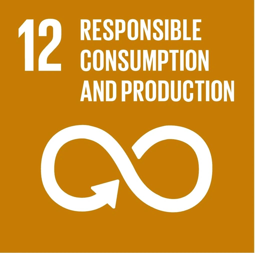 Sustainable Development Goal: Responsible consumption and production