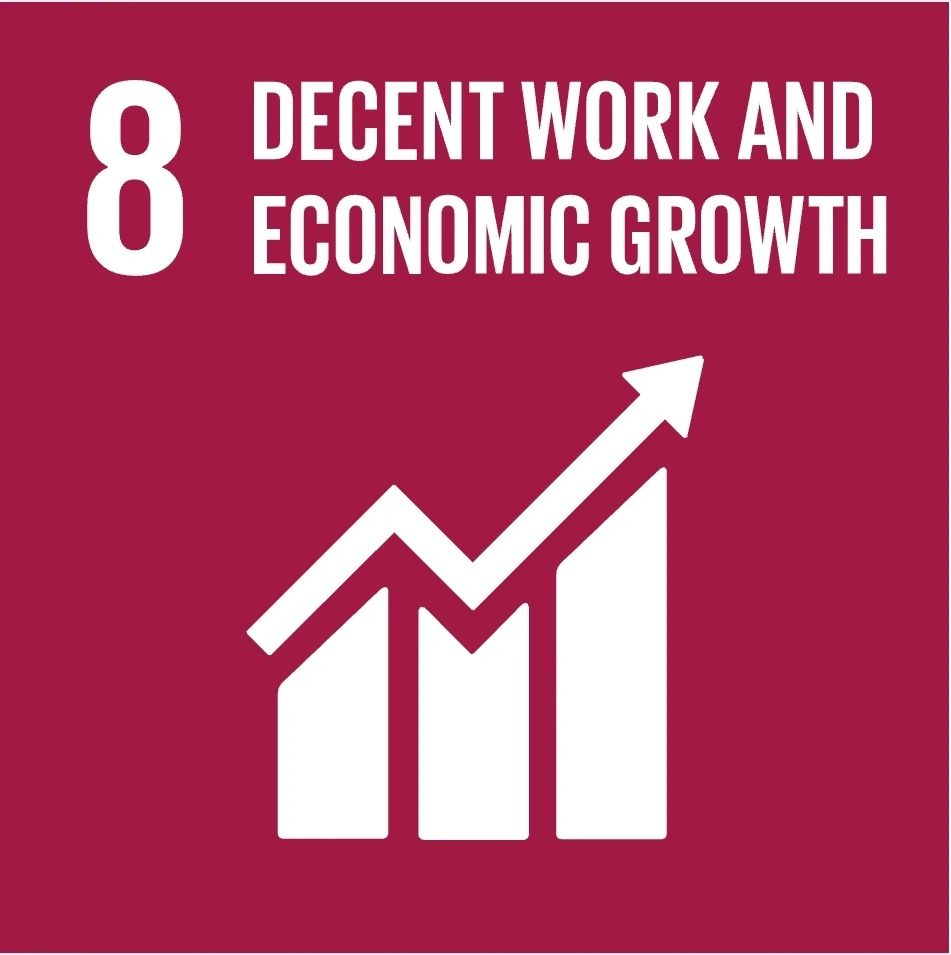 Sustainable Development Goal: Decent work and economic growth