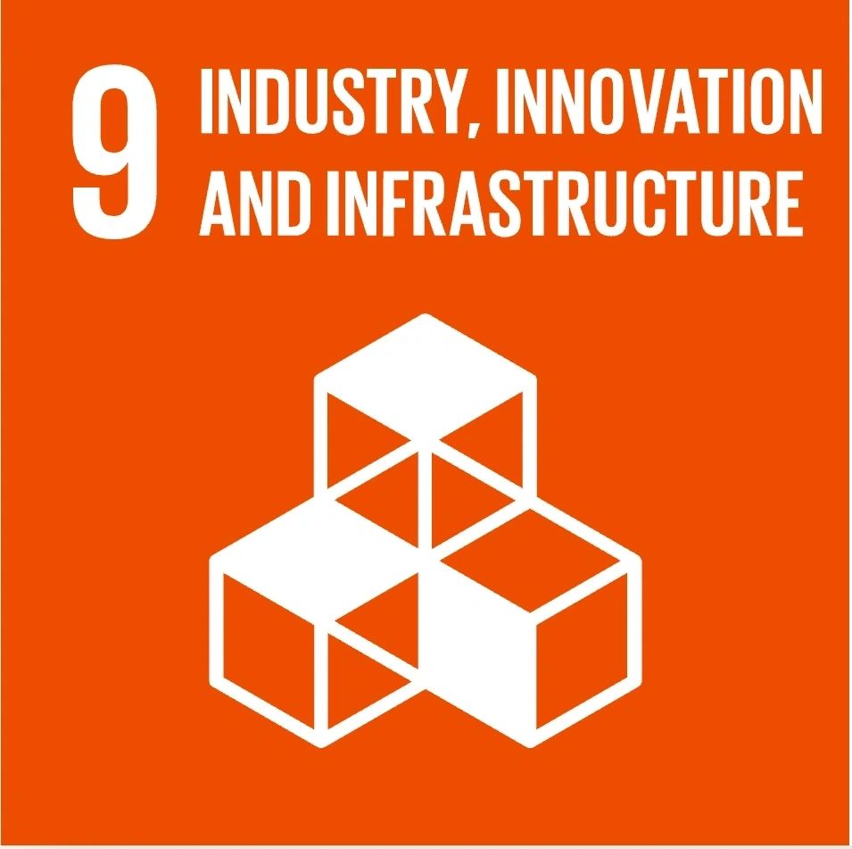 Sustainable Development Goal: Industry, innovation and infrastructure