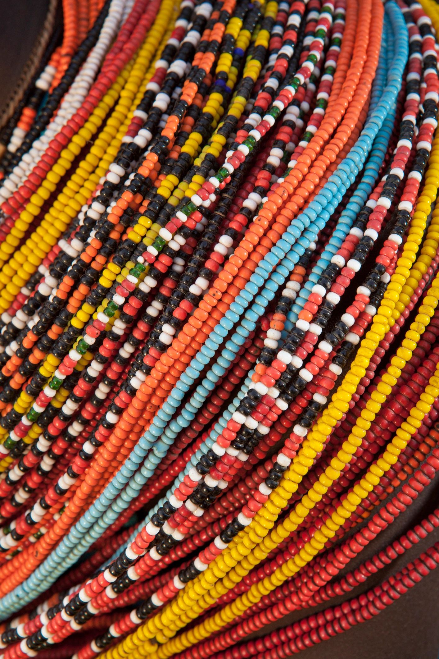 Indigenous knowledge holder